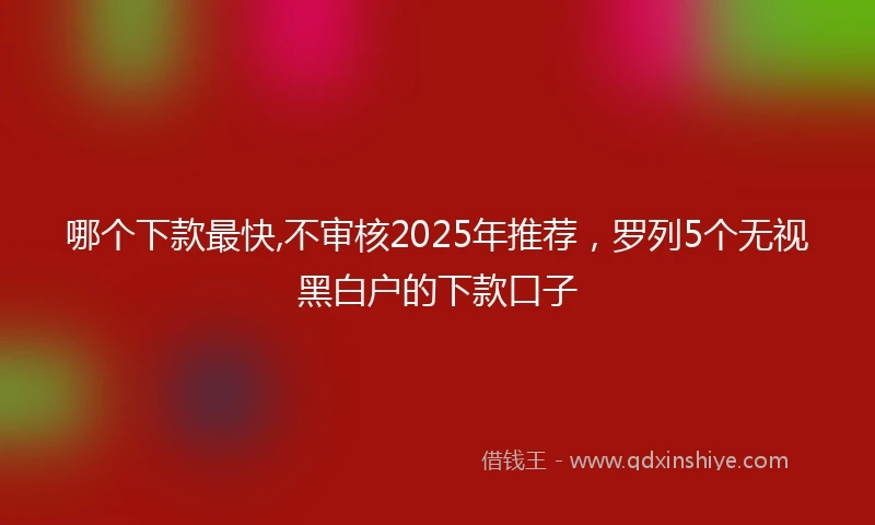 哪个下款最快,不审核2025年推荐，罗列5个无视黑白户的下款口子