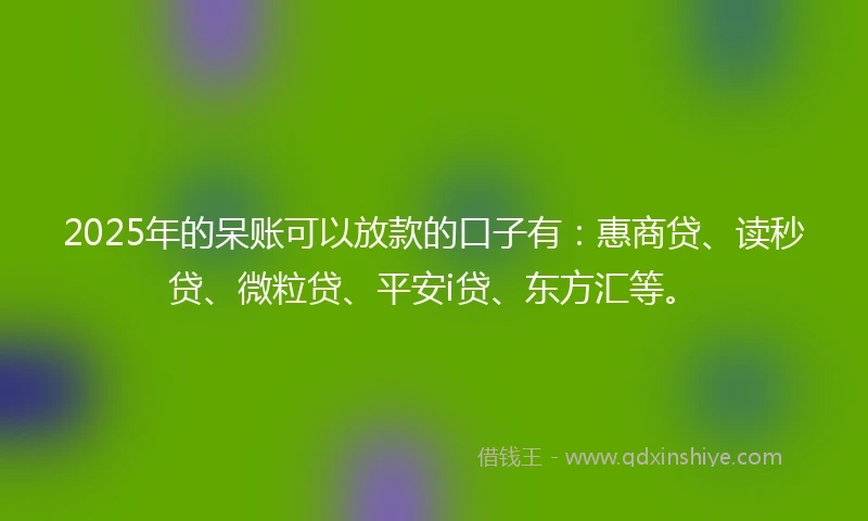 2025年的呆账可以放款的口子有：惠商贷、读秒贷、微粒贷、平安i贷、东方汇等。