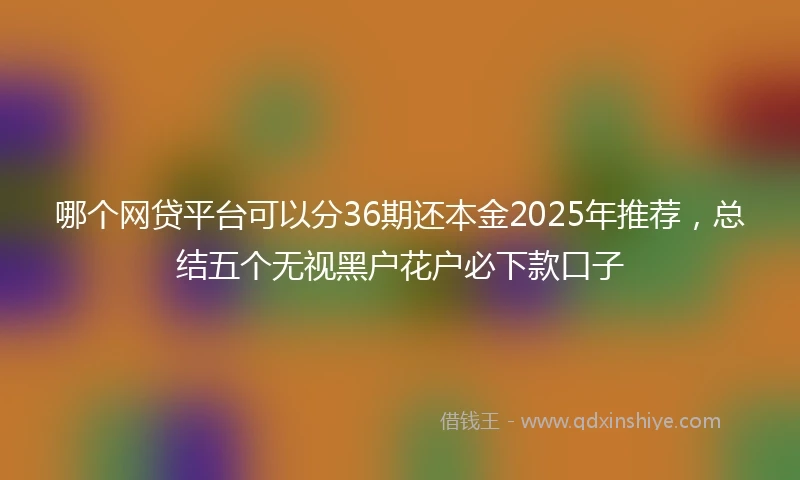 哪个网贷平台可以分36期还本金2025年推荐，总结五个无视黑户花户必下款口子