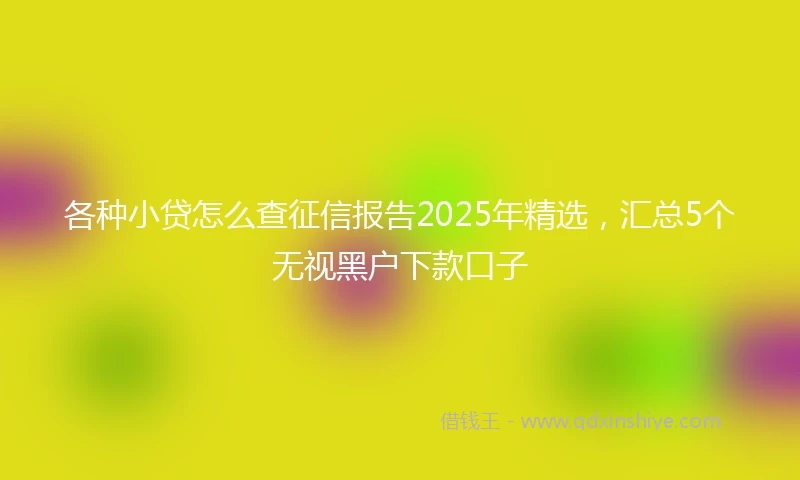 各种小贷怎么查征信报告2025年精选,汇总5个无视黑户下款口子