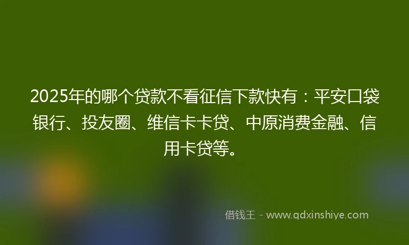 2025年的哪个贷款不看征信下款快有：平安口袋银行、投友圈、维信卡卡贷、中原消费金融、信用卡贷等。