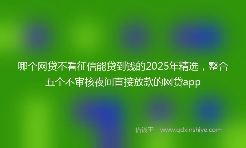 哪个网贷不看征信能贷到钱的2025年精选,整合五个不审核夜间直接放款的网贷app