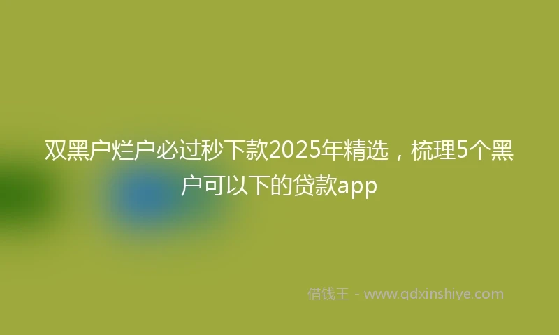 双黑户烂户必过秒下款2025年精选，梳理5个黑户可以下的贷款app