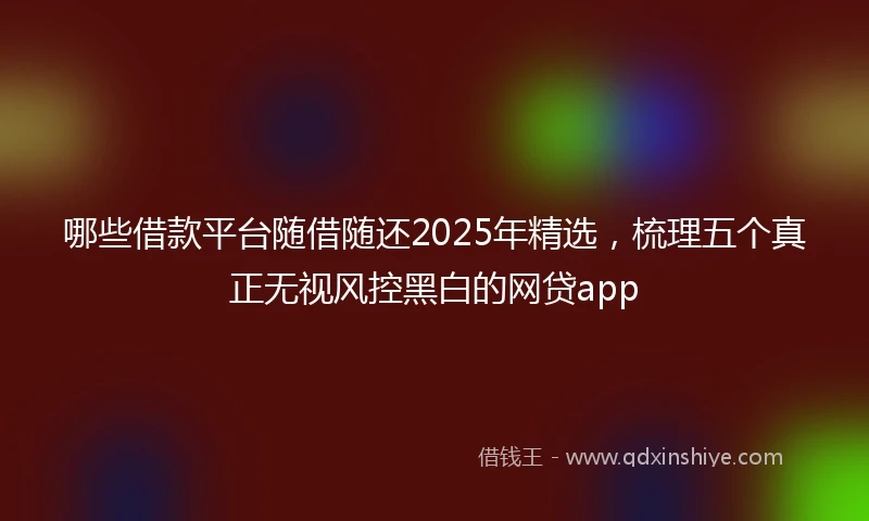 哪些借款平台随借随还2025年精选，梳理五个真正无视风控黑白的网贷app