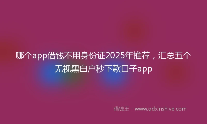 哪个app借钱不用身份证2025年推荐，汇总五个无视黑白户秒下款口子app
