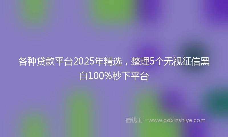 各种贷款平台2025年精选，整理5个无视征信黑白100%秒下平台