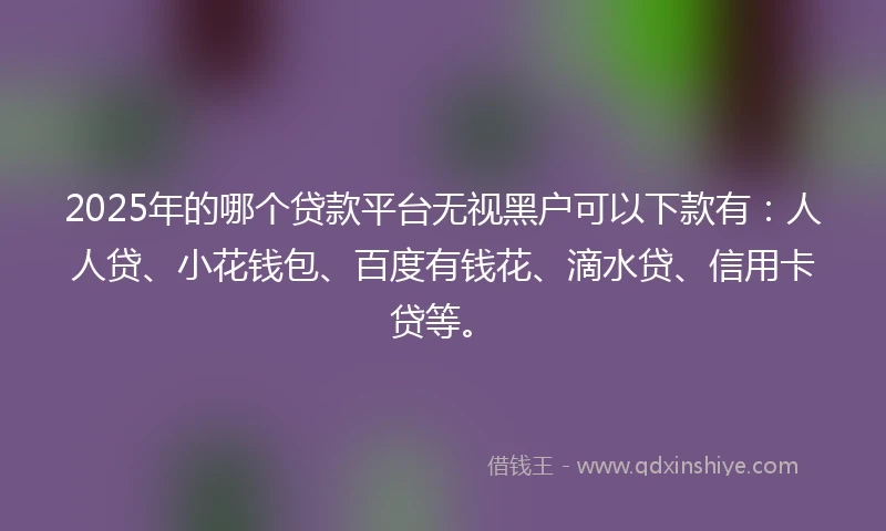 2025年的哪个贷款平台无视黑户可以下款有:人人贷、小花钱包、百度有钱花、滴水贷、信用卡贷等。
