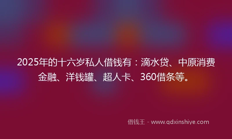 2025年的十六岁私人借钱有：滴水贷、中原消费金融、洋钱罐、超人卡、360借条等。
