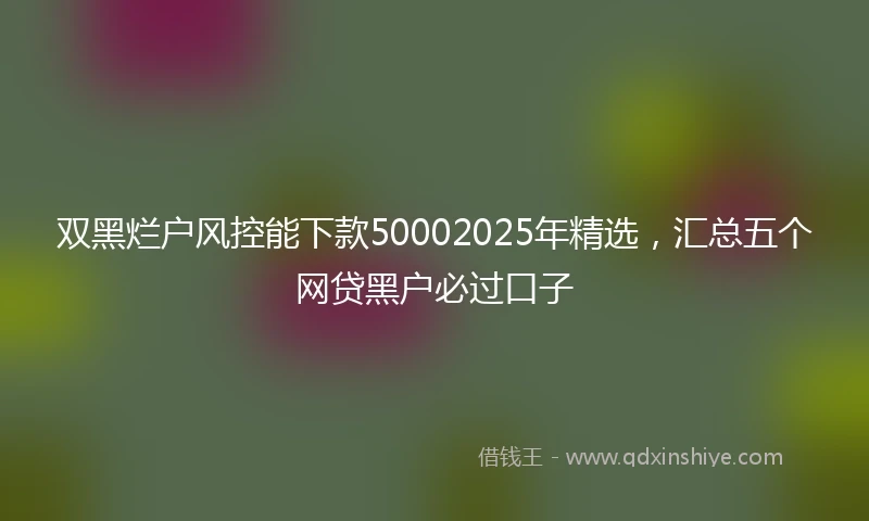 双黑烂户风控能下款50002025年精选，汇总五个网贷黑户必过口子