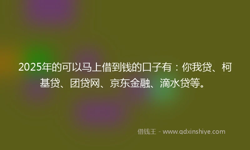 2025年的可以马上借到钱的口子有：你我贷、柯基贷、团贷网、京东金融、滴水贷等。