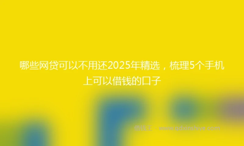 哪些网贷可以不用还2025年精选，梳理5个手机上可以借钱的口子