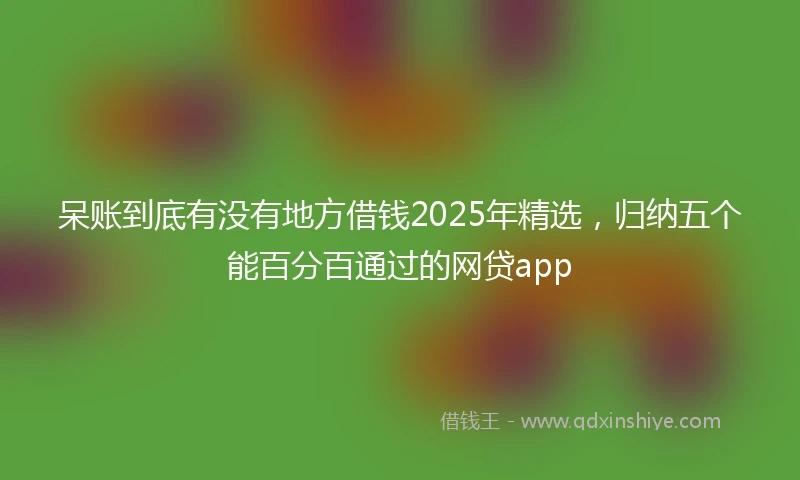 呆账到底有没有地方借钱2025年精选，归纳五个能百分百通过的网贷app