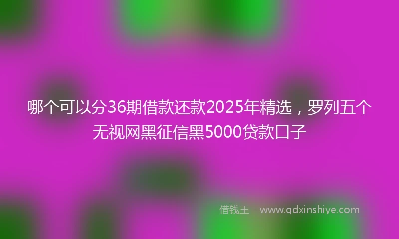 哪个可以分36期借款还款2025年精选，罗列五个无视网黑征信黑5000贷款口子