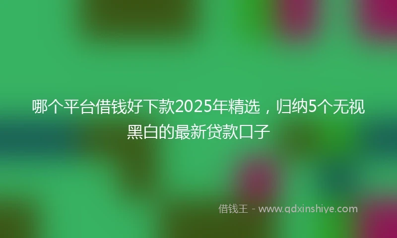 哪个平台借钱好下款2025年精选，归纳5个无视黑白的最新贷款口子