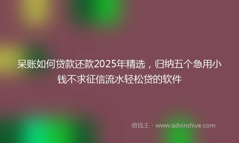 呆账如何贷款还款2025年精选，归纳五个急用小钱不求征信流水轻松贷的软件