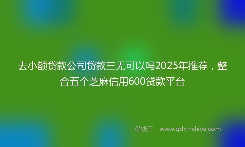 去小额贷款公司贷款三无可以吗2025年推荐，整合五个芝麻信用600贷款平台