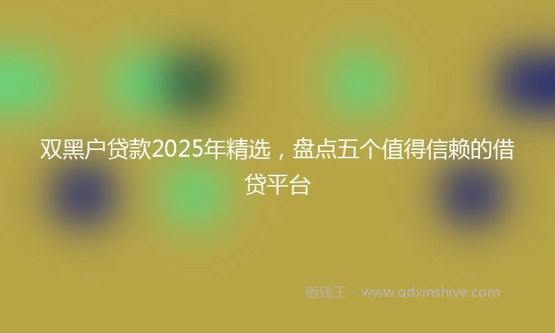 双黑户贷款2025年精选，盘点五个值得信赖的借贷平台