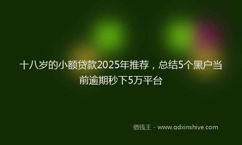 十八岁的小额贷款2025年推荐，总结5个黑户当前逾期秒下5万平台