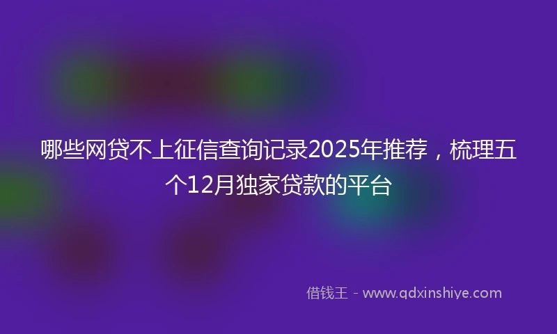 哪些网贷不上征信查询记录2025年推荐，梳理五个12月独家贷款的平台