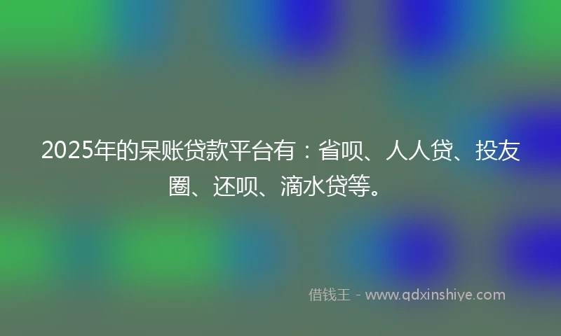 2025年的呆账贷款平台有：省呗、人人贷、投友圈、还呗、滴水贷等。