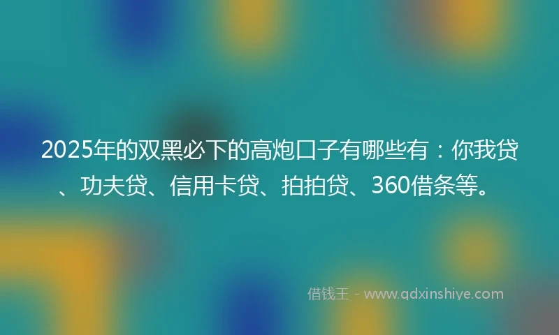 2025年的双黑必下的高炮口子有哪些有：你我贷、功夫贷、信用卡贷、拍拍贷、360借条等。