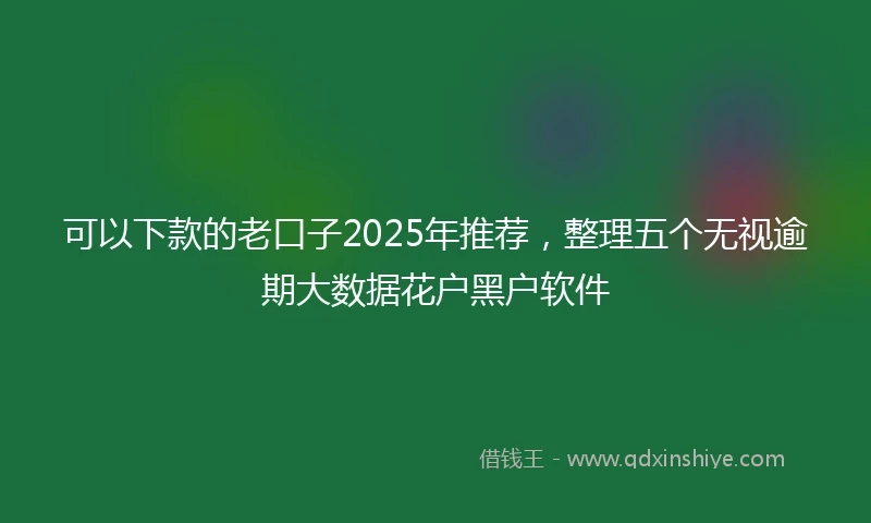 可以下款的老口子2025年推荐，整理五个无视逾期大数据花户黑户软件