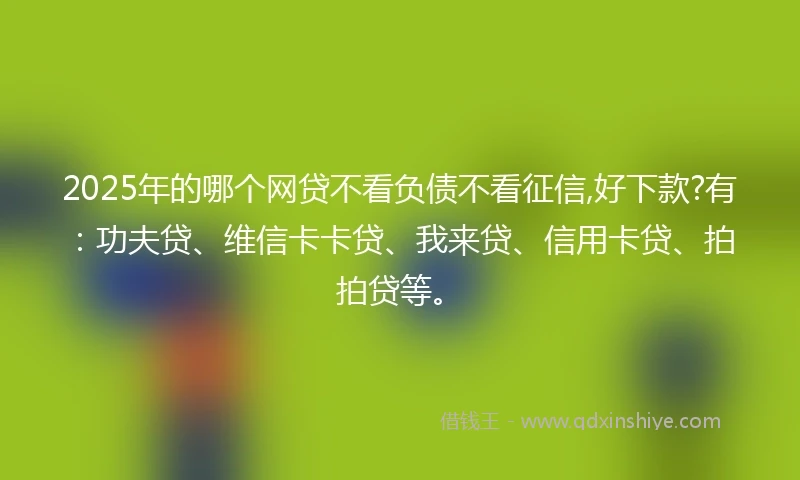 2025年的哪个网贷不看负债不看征信,好下款?有：功夫贷、维信卡卡贷、我来贷、信用卡贷、拍拍贷等。