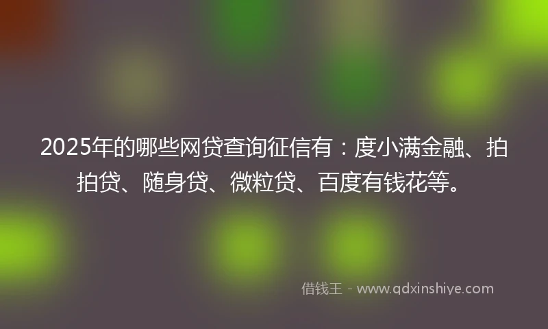 2025年的哪些网贷查询征信有：度小满金融、拍拍贷、随身贷、微粒贷、百度有钱花等。