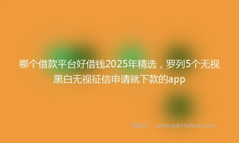 哪个借款平台好借钱2025年精选，罗列5个无视黑白无视征信申请就下款的app