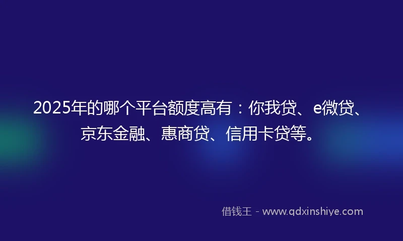 2025年的哪个平台额度高有：你我贷、e微贷、京东金融、惠商贷、信用卡贷等。