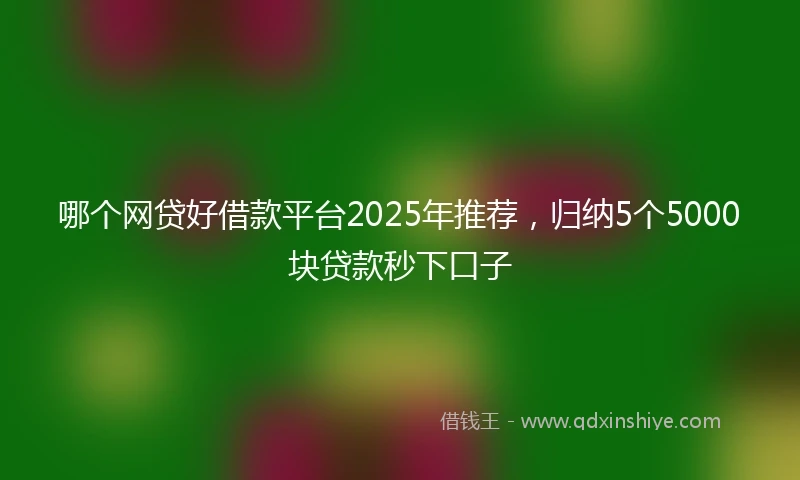 哪个网贷好借款平台2025年推荐，归纳5个5000块贷款秒下口子