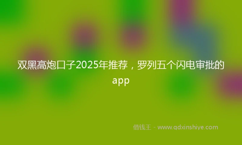 双黑高炮口子2025年推荐,罗列五个闪电审批的app
