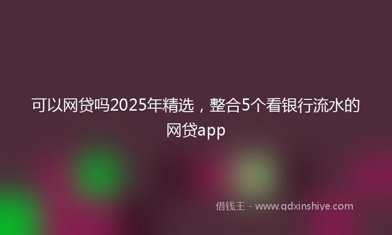 可以网贷吗2025年精选，整合5个看银行流水的网贷app