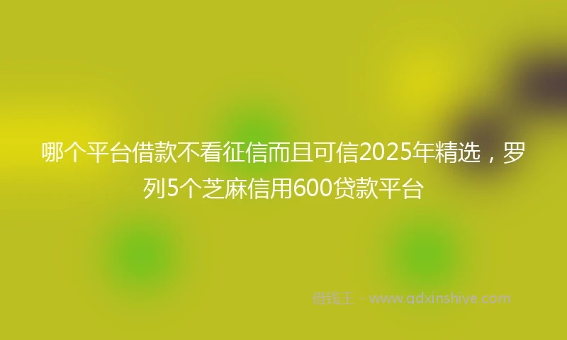 哪个平台借款不看征信而且可信2025年精选，罗列5个芝麻信用600贷款平台