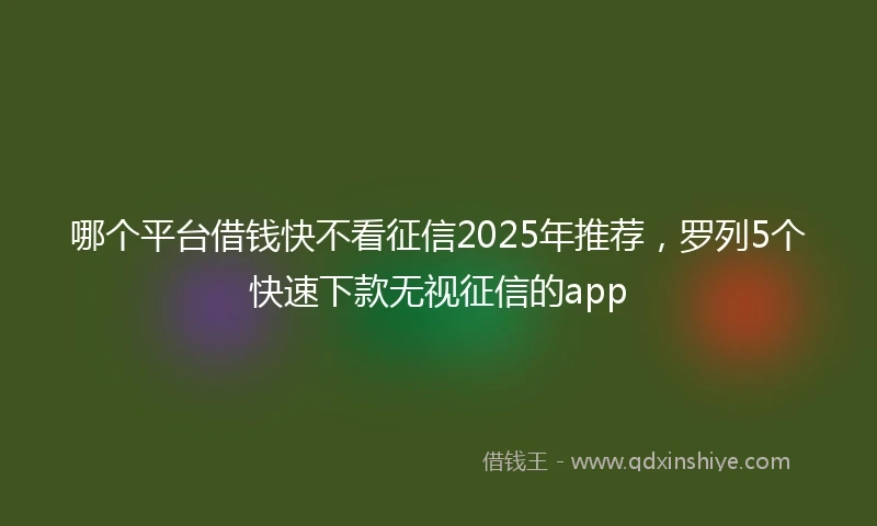 哪个平台借钱快不看征信2025年推荐，罗列5个快速下款无视征信的app