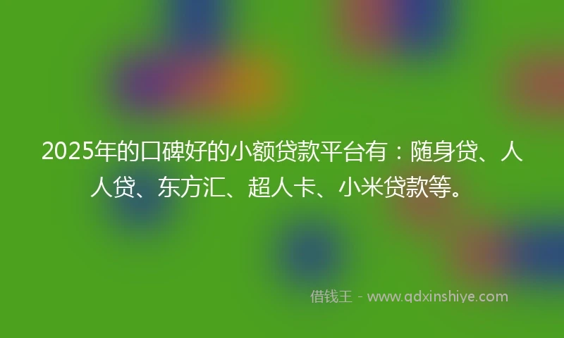 2025年的口碑好的小额贷款平台有:随身贷、人人贷、东方汇、超人卡、小米贷款等。