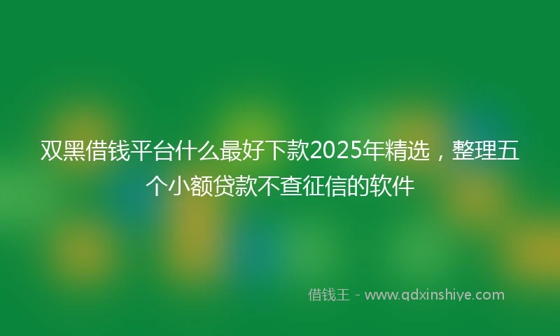 双黑借钱平台什么最好下款2025年精选，整理五个小额贷款不查征信的软件
