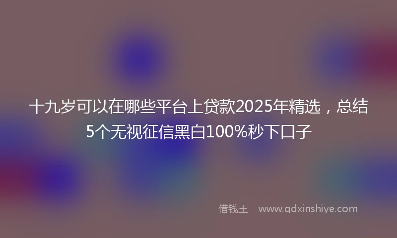 十九岁可以在哪些平台上贷款2025年精选，总结5个无视征信黑白100%秒下口子