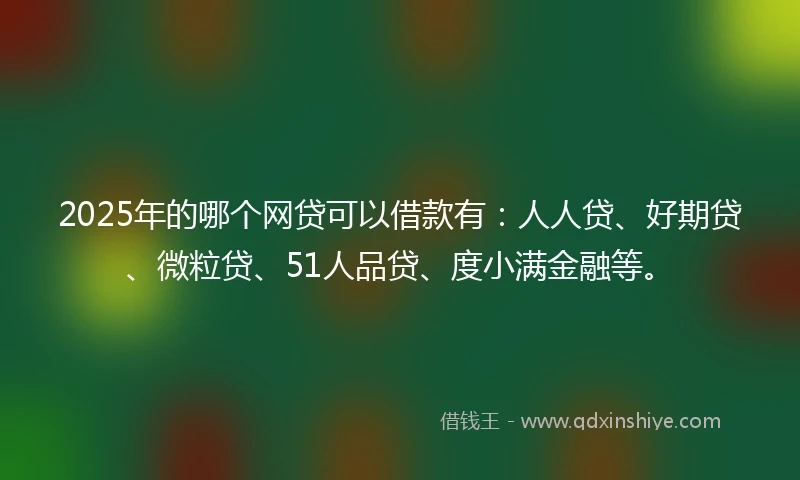 2025年的哪个网贷可以借款有：人人贷、好期贷、微粒贷、51人品贷、度小满金融等。