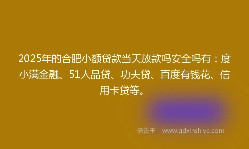 2025年的合肥小额贷款当天放款吗安全吗有：度小满金融、51人品贷、功夫贷、百度有钱花、信用卡贷等。