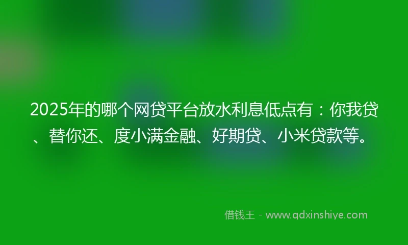2025年的哪个网贷平台放水利息低点有：你我贷、替你还、度小满金融、好期贷、小米贷款等。