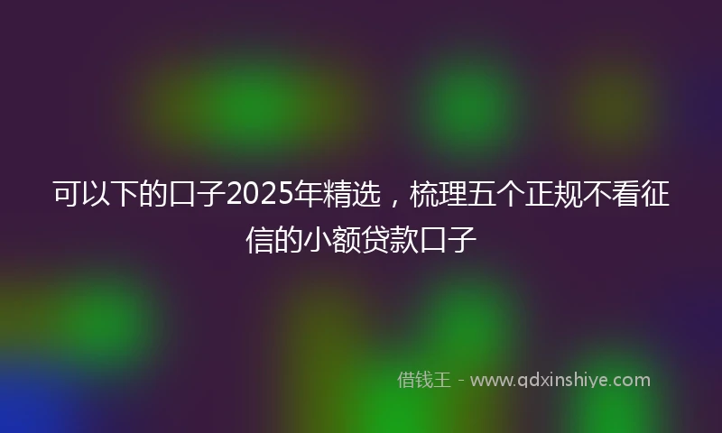 可以下的口子2025年精选，梳理五个正规不看征信的小额贷款口子
