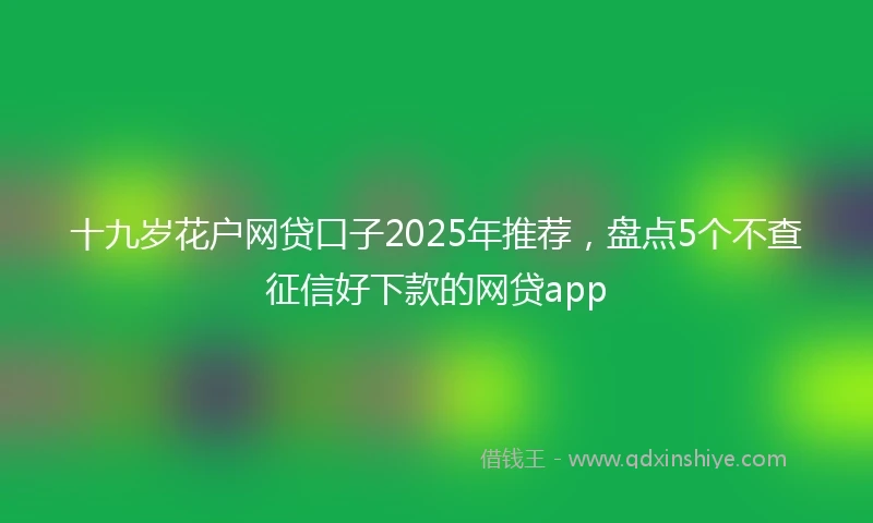 十九岁花户网贷口子2025年推荐，盘点5个不查征信好下款的网贷app
