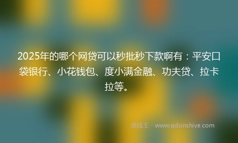 2025年的哪个网贷可以秒批秒下款啊有：平安口袋银行、小花钱包、度小满金融、功夫贷、拉卡拉等。