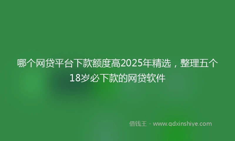哪个网贷平台下款额度高2025年精选，整理五个18岁必下款的网贷软件
