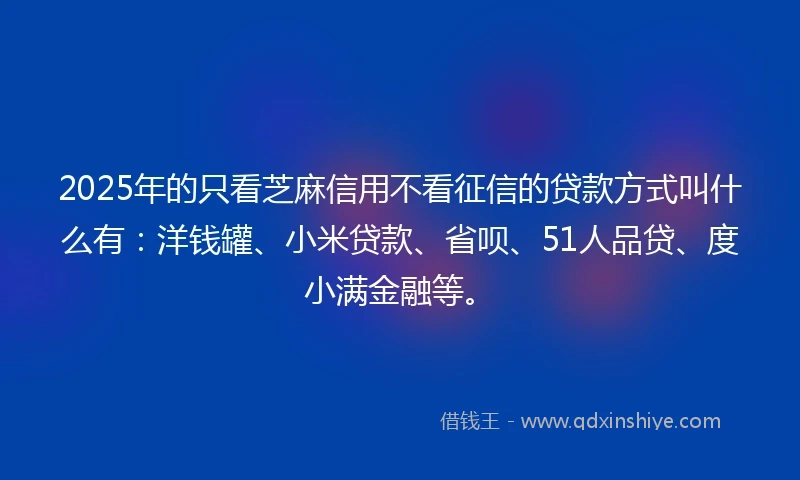 2025年的只看芝麻信用不看征信的贷款方式叫什么有：洋钱罐、小米贷款、省呗、51人品贷、度小满金融等。