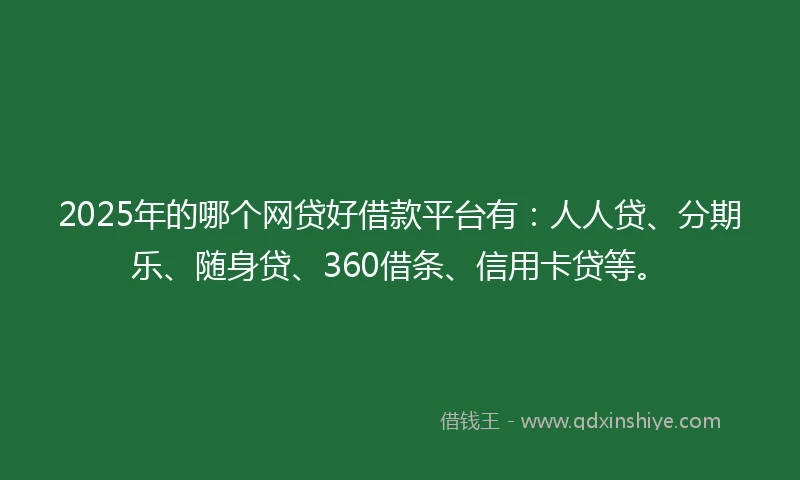 2025年的哪个网贷好借款平台有：人人贷、分期乐、随身贷、360借条、信用卡贷等。