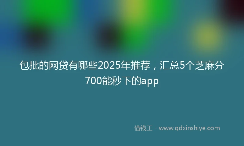 包批的网贷有哪些2025年推荐，汇总5个芝麻分700能秒下的app
