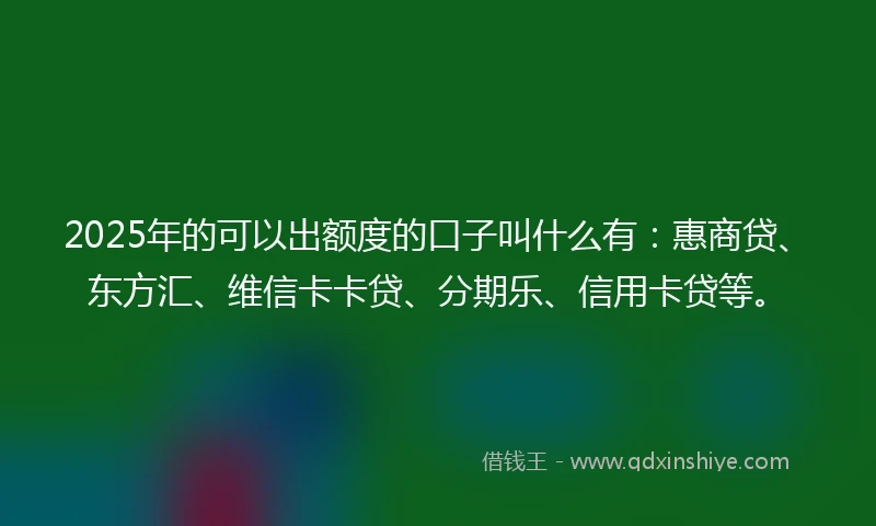 2025年的可以出额度的口子叫什么有：惠商贷、东方汇、维信卡卡贷、分期乐、信用卡贷等。
