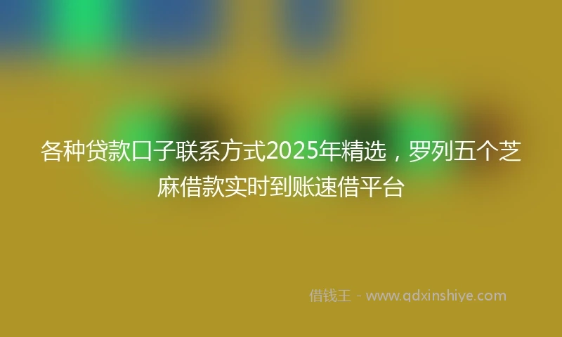 各种贷款口子联系方式2025年精选，罗列五个芝麻借款实时到账速借平台